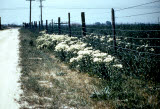 Select an image to enlarge