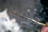 Select an image to enlarge