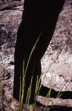 Select an image to enlarge