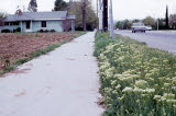 Select an image to enlarge