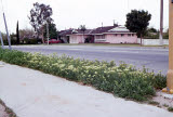 Select an image to enlarge