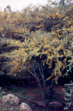 Select an image to enlarge