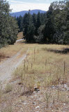Select an image to enlarge