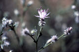 Select an image to enlarge