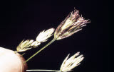 Select an image to enlarge