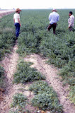 Select an image to enlarge