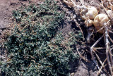 Select an image to enlarge