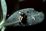 Select an image to enlarge