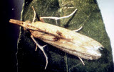 Select an image to enlarge