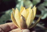 Select an image to enlarge