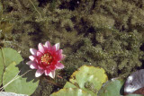 Select an image to enlarge
