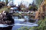 Select an image to enlarge