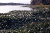 Select an image to enlarge