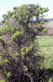 Select an image to enlarge