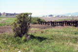 Select an image to enlarge
