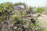 Select an image to enlarge
