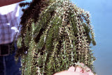 Select an image to enlarge