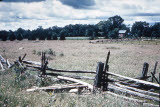 Select an image to enlarge