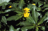 Select an image to enlarge