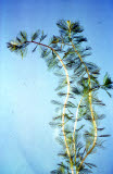 Select an image to enlarge
