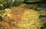 Select an image to enlarge