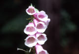 Select an image to enlarge
