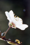 Select an image to enlarge