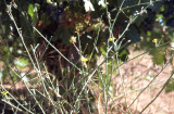 Select an image to enlarge