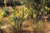 Select an image to enlarge