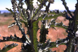 Select an image to enlarge