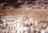Select an image to enlarge