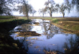 Select an image to enlarge