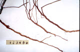 Select an image to enlarge