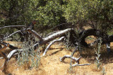 Select an image to enlarge