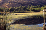 Select an image to enlarge