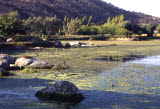 Select an image to enlarge