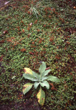 Select an image to enlarge