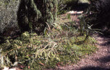 Select an image to enlarge