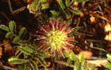Select an image to enlarge