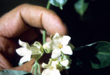 Select an image to enlarge