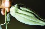 Select an image to enlarge