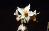 Select an image to enlarge