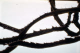 Select an image to enlarge