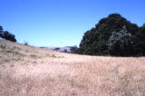 Select an image to enlarge