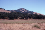 Select an image to enlarge