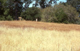 Select an image to enlarge