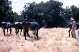 Select an image to enlarge