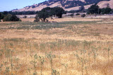 Select an image to enlarge