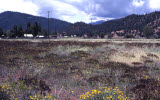 Select an image to enlarge