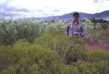 Select an image to enlarge